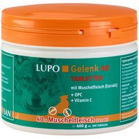 Kody rabatowe LUPO Gelenk 40 tabletki wzmacniające stawy - 400 g (ok. 200 tabletek)