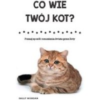Kody rabatowe CzaryMary.pl Sklep ezoteryczny - Co wie Twój kot?