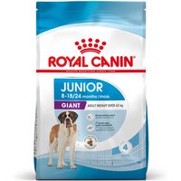 Kody rabatowe Dwupak Royal Canin Giant - Junior, 2 x 15 kg