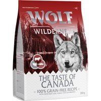 Kody rabatowe zooplus - Pakiet próbny Wolf of Wilderness - bez zbóż - The Taste Of Canada, 300 g