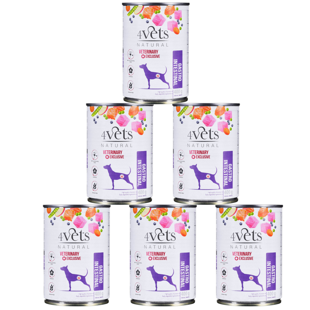 Kody rabatowe 4VETS Natural Gastro Intestinal Dog - mokra karma dla psa - 6x400 g