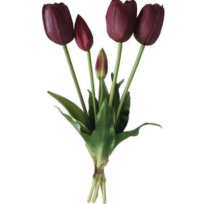 Kody rabatowe Avans - Bukiet wielkanocny SASKA GARDEN Tulipany 40 cm