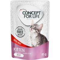 Kody rabatowe Concept for Life Kitten w galarecie, wołowina - bez zbóż - 48 x 85 g
