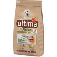Kody rabatowe Ultima Dog Nature Mini Adult, łosoś - 1,25 kg