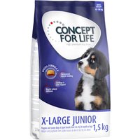 Kody rabatowe Concept for Life X-Large Junior - 4 x 1,5 kg