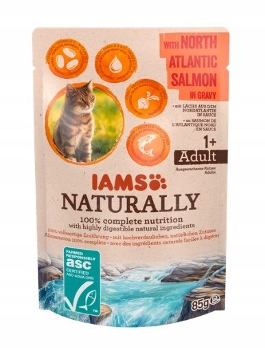 Kody rabatowe Krakvet sklep zoologiczny - IAMS Naturally Adult z łososiem północnoatlantyckim w sosie - mokra karma dla kota - 85 g