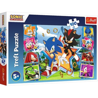 Kody rabatowe Puzzle TREFL Sonic The Hedgehog Poznaj Sonica 16465 (100 elementów)