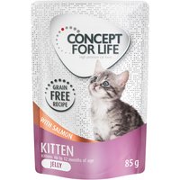 Kody rabatowe Concept for Life Kitten w galarecie, łosoś - bez zbóż - 24 x 85 g