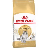 Kody rabatowe zooplus - Royal Canin Norwegian Forest Cat Adult - 2 kg